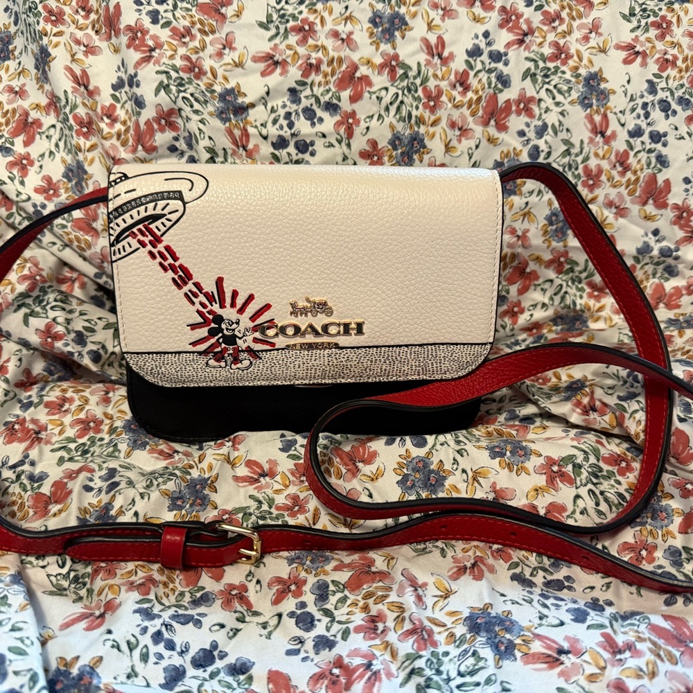 COACH DISNEY MICKEY MOUSE X KEITH HARING
